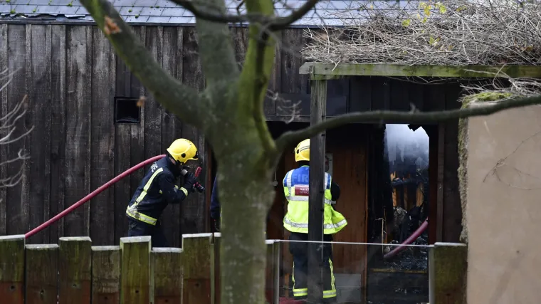 Požar u londonskom zoolo&scaron;kom vrtu: interventiralo 70 vatrogasaca