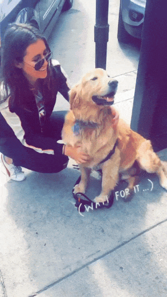 Kad se nađu dvije maze...