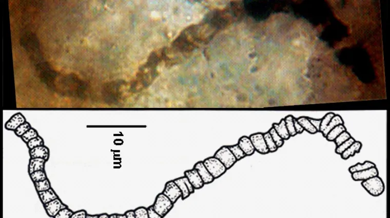 Drevni fosili stari 3,5 milijardi godina otkrivaju jednu od najvećih tajni svemira