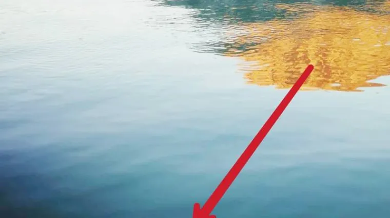 Monstrumi zavezali psu omču s kamenom oko vrata i bacili ga u more, služio im kao mamac za hobotnicu