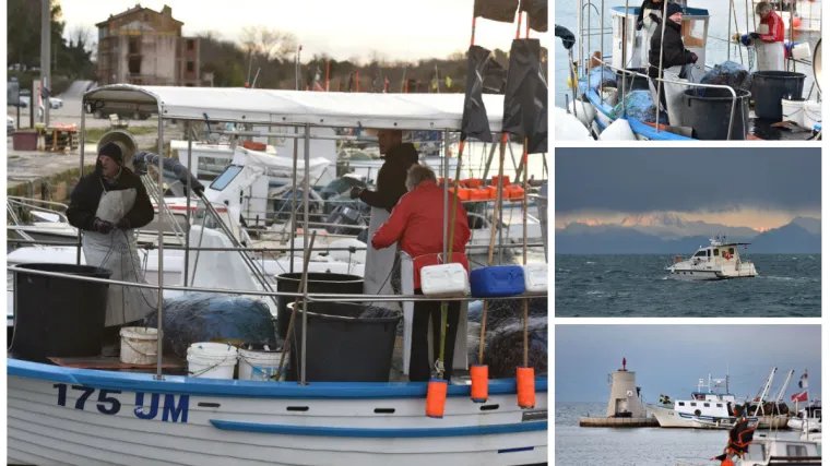 'Slovenska policija hrvatskim je ribarima rekla da &scaron;to prije napuste slovensko more'