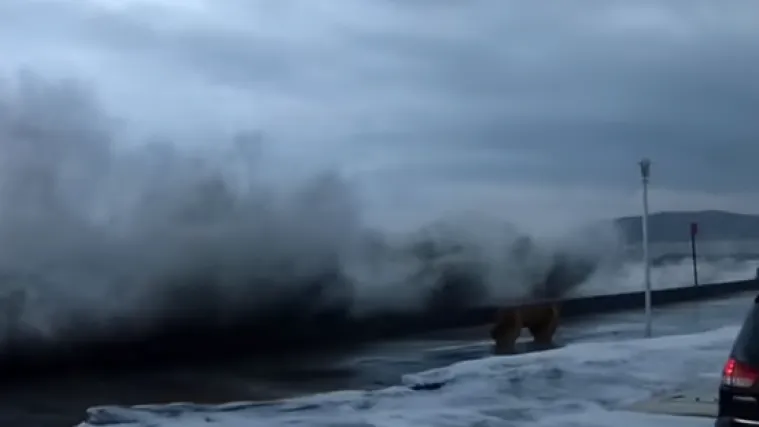 Vjetar udara i do 150 km/h, jedna osoba poginula, 65.000 ljudi bez struje