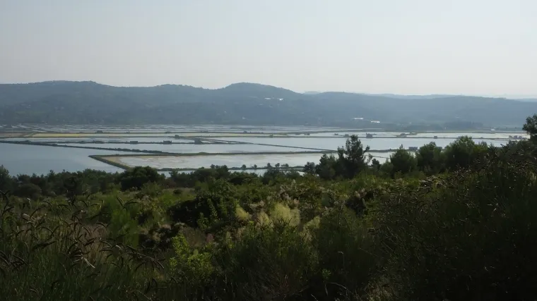 U Savudrijskoj vali mirno, no ribari su sve nervozniji zbog straha od mogućih kazni nakon što su Slovenci zaprijetili