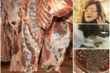 'Otvorim paket i zaplahne me takav smrad... Već je bilo u fazi truljenja!'