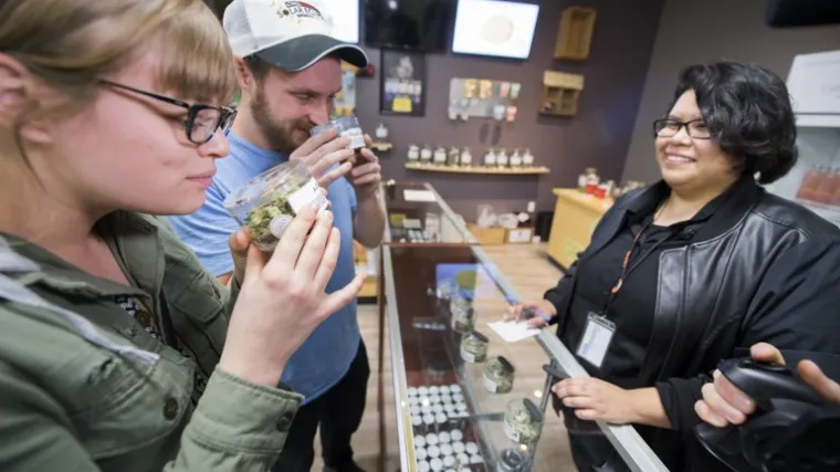 Smiju je i saditi, maksimalno &scaron;est biljaka po kućanstvu