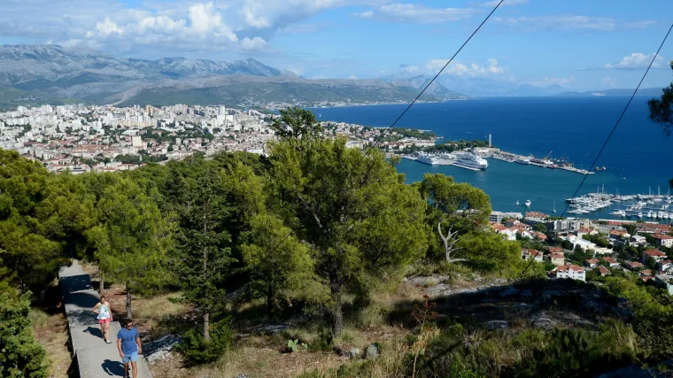 Stručnjak sa &Scaron;umarskog instituta: 'Marjanu prijeti su&scaron;enje borova ukoliko odgovorni &scaron;to prije ne&scaron;to ne poduzmu'