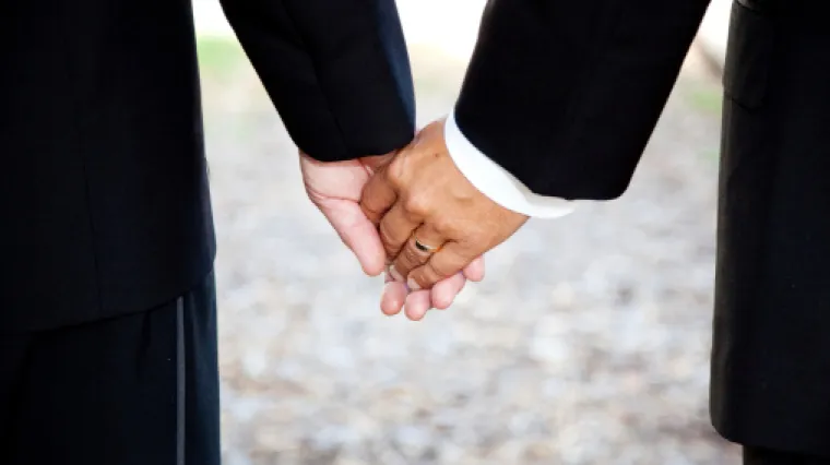 Vigilare pisao ministrici Divjak o slikovnici o istospolnim obiteljima: 'Riječ je o političko-ideolo&scaron;koj agendi'