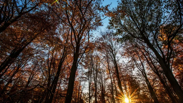 Pučke meteorologinje u detalj su pogodile vrijeme kroz 2017. godinu: a &scaron;to kažu o 2018-oj?