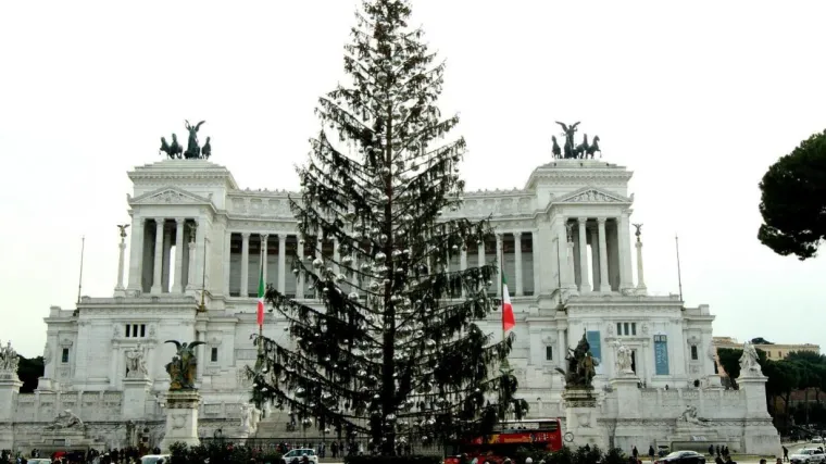 Od predmeta sprdnje do predmeta obožavanja: za usahlu božićnu jelku '&Scaron;ugavka' traži se mjesto u muzeju