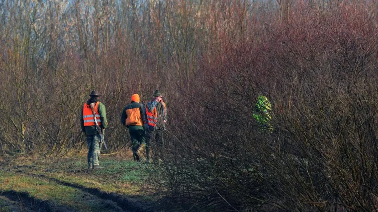 Zbog lova uz pomoć reflektora dvojici Zadrana prijeti do tri godine zatvora
