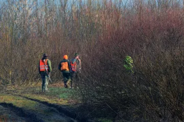 Zbog lova uz pomoć reflektora dvojici Zadrana prijeti do tri godine zatvora