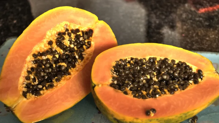 Indijska banana - egzotično voće Sjeverne Amerike