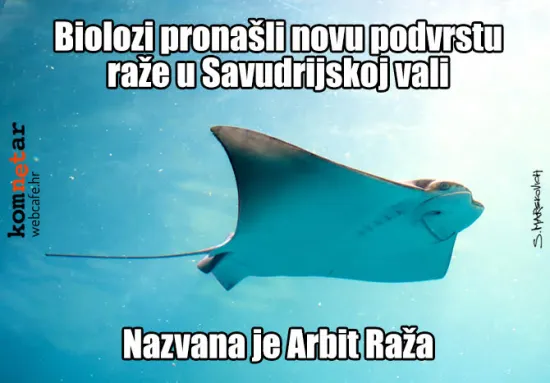 A je l' hrvatska ili slovenska?