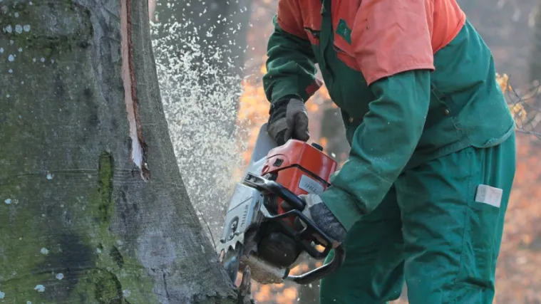 Kakav pehist: ru&scaron;io drvo pa mu palo na cestu, a ba&scaron; tada se prvi susjed vraćao kući svojim Mercedesom&hellip;