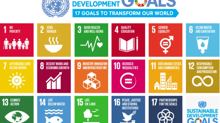 Ova domaća tvrtka ima odličan plan kako tome pridonijeti