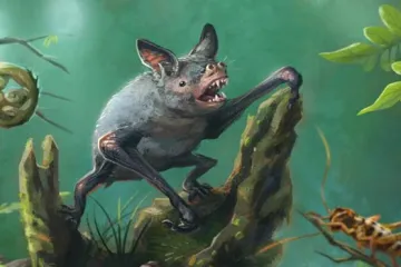 Nije samo letio, već i hodao u potrazi za plijenom