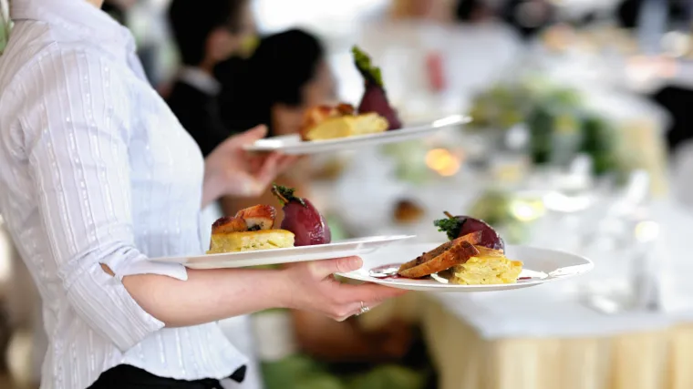 Osuđena na zatvorsku kaznu: prevarila uma&scaron;ko poduzeće ne isplativ&scaron;i kćerinu svadbu