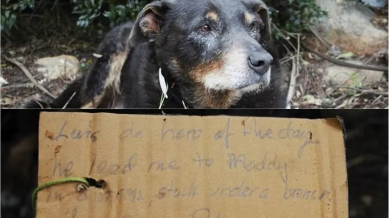 'Dobro je znao &scaron;to radi, imao je samo jedan cilj'