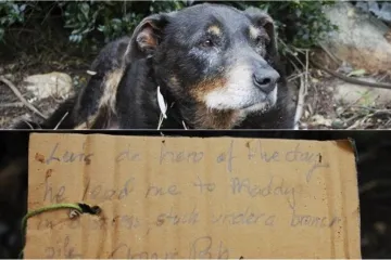 'Dobro je znao što radi, imao je samo jedan cilj'