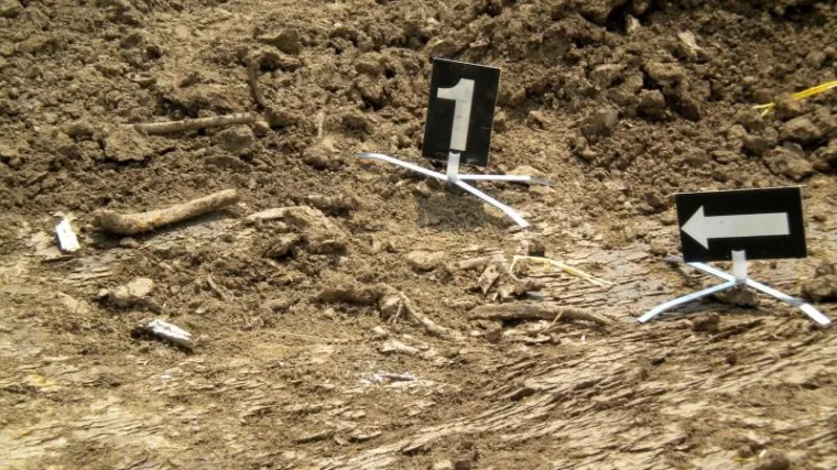 Jazavci i lisice iskopali ljudske lubanje i kosti na prostoru biv&scaron;e 'partizanske države'