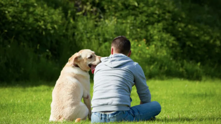 Ljudi vi&scaron;e vole svoje pse, nego druge ljude i radije se s njima druže
