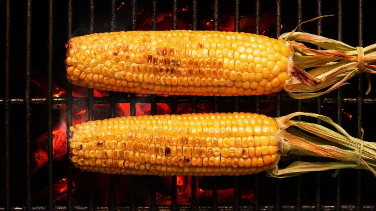 Kukuruz osmoredac - kukuruz namijenjen za pečenje