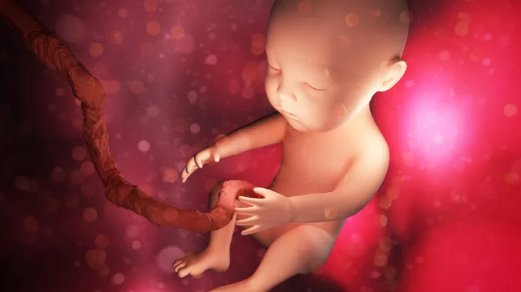 Zagađenje zraka može o&scaron;tetitti DNK bebe dok je jo&scaron; u majčinom trbuhu