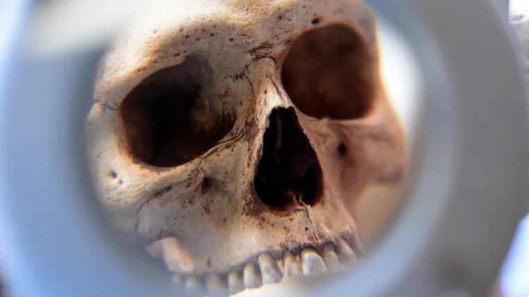 Otkrivene najstarije kosti suvremenog čovjeka: 'Teorija evolucije Homo sapiensa ovim se otkrićem pomiče unatrag'