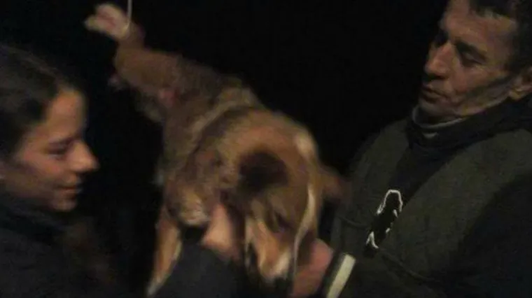 Uznemirujuće fotografije: vezali psa za stražnje noge, objesili ga o konopac i pozirali sa smije&scaron;kom