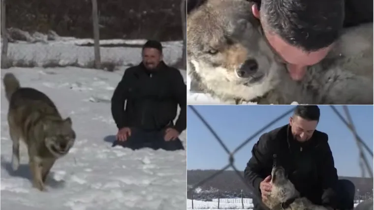 Po njegovu dvori&scaron;tu zavija energični i neustra&scaron;ivi Trump