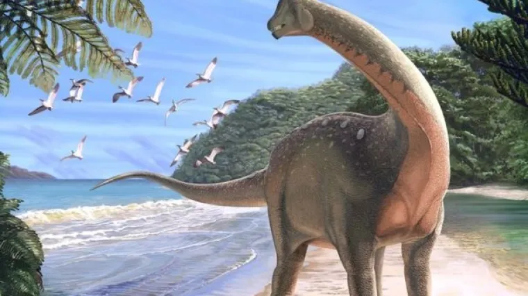 'Kada sam vidio fotografije ostao sam bez riječi'