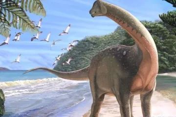 'Kada sam vidio fotografije ostao sam bez riječi'