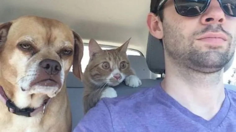 Urnebesni prizori: kada ljubimci shvate da ne idu u park, nego veterinaru