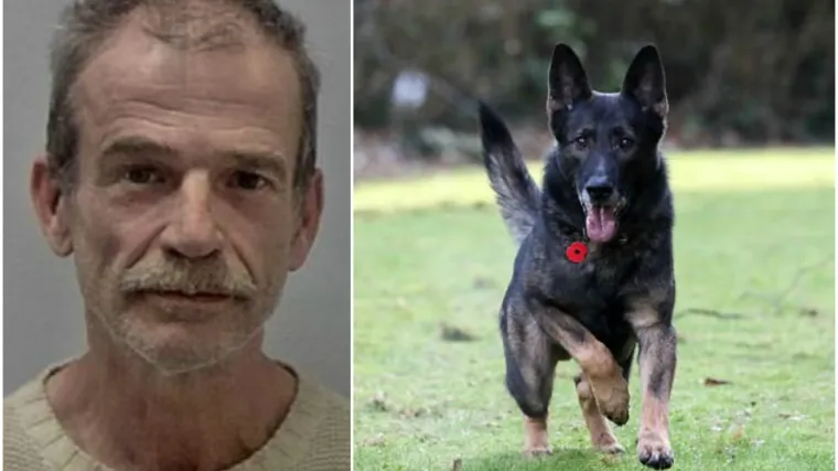 Za sve je zaslužan hrabri policijski pas...