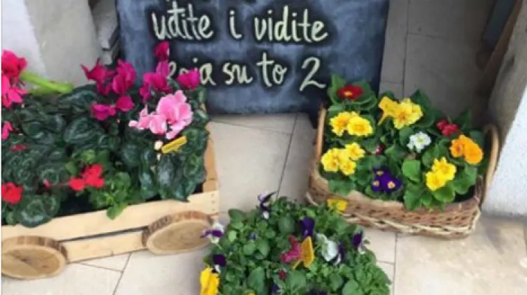 Osim galebarenja, Dalmatinci znaju i kako ne&scaron;to prodati: na ovu reklamu cvjećarnice nemoguće je ostati ravnodu&scaron;an