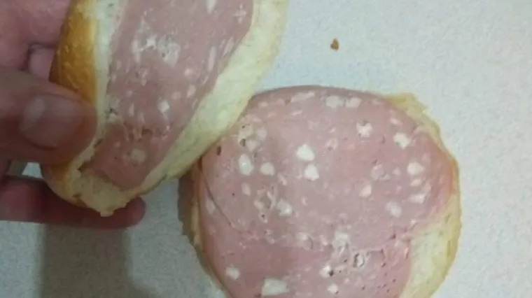 Bloger Krule o besplatnim obrocima: 'Dok konji u Saboru s plaćama od 15.000 kuna jedu obrok od 10 kuna, na&scaron;a djeca jedu govna'