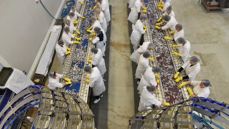 Medijska ofenziva urodila je plodom: RTL doznaje da se za rad u rovinjskoj tvornici Mirna prijavilo 300 osoba