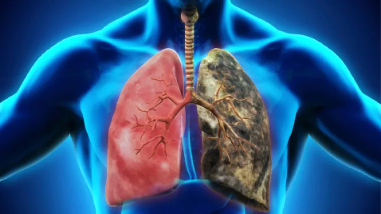 Srce ubrzava, želudac pati, a užasno je i ono &scaron;to se događa mozgu