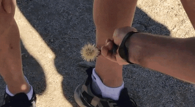 Ono kad želi&scaron; nekome pomoći...