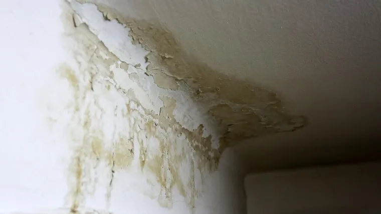 Za kupnju državnog stana na atraktivnoj lokaciji pripremite se na pljesnive zidove i rupe u podovima