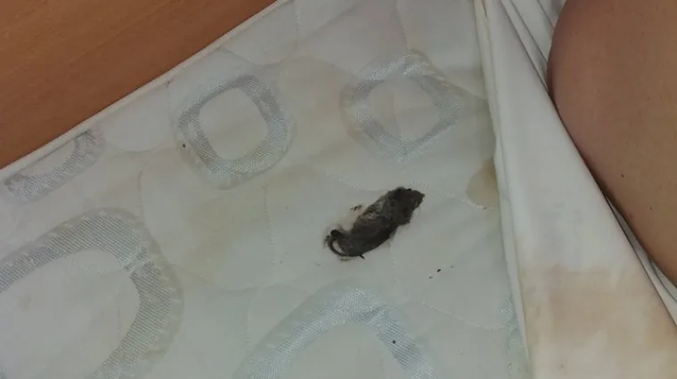 Smijenjen ravnatelj osječkoga Centra za pružanje usluga u zajednici Ladislav Lamza