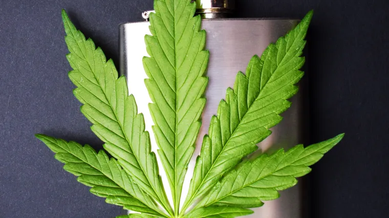 &Scaron;to je opasnije za mozak: alkohol ili marihuana? Istraživači imaju odgovor