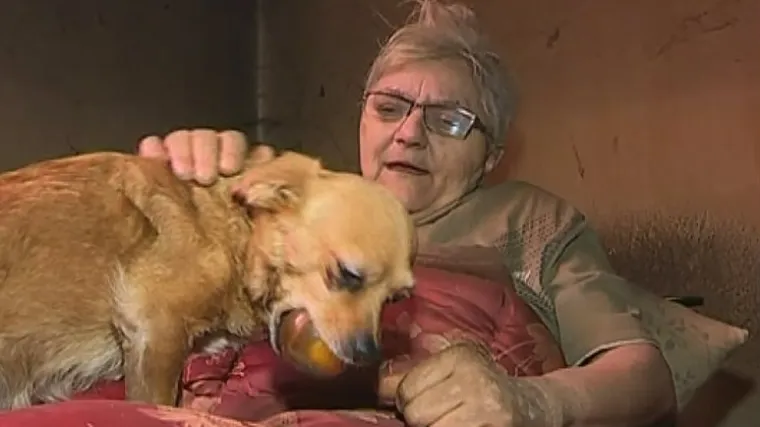 'Skočila je na mene, kuća je bila puna dima': malena kujica spasila život 68-godi&scaron;njoj vlasnici