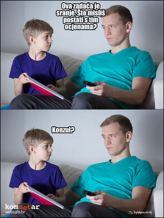 &Scaron;kolovanje za visoku diplomaciju