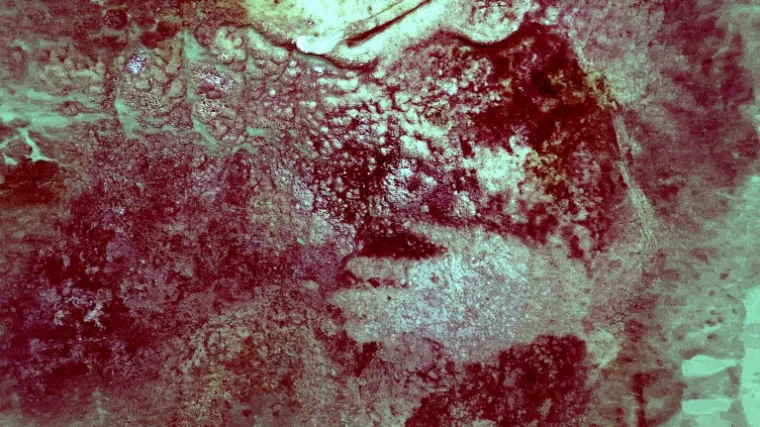 Antropolozi analizirali špiljske crteže stare 64.000 godina i došli do fascinantnog otkrića