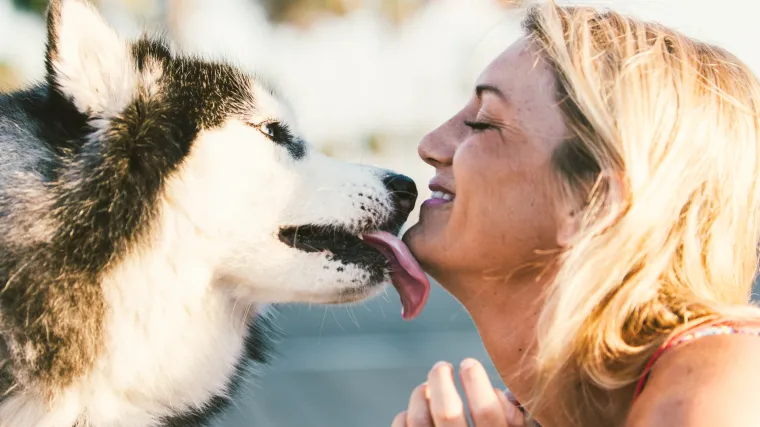 Tko ne voli pseće 'puse'? Ali pazite - ovo su tri manje slađe stvari do kojih može doći