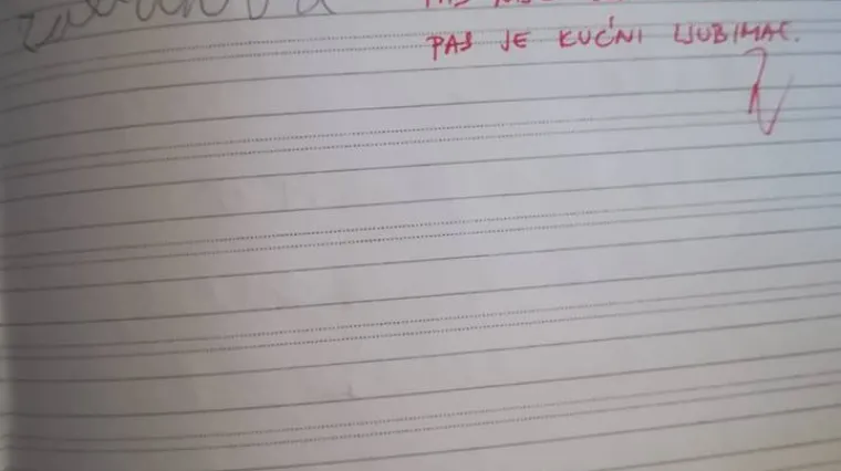 Komentar učiteljice podijelio je hrvatsku javnost