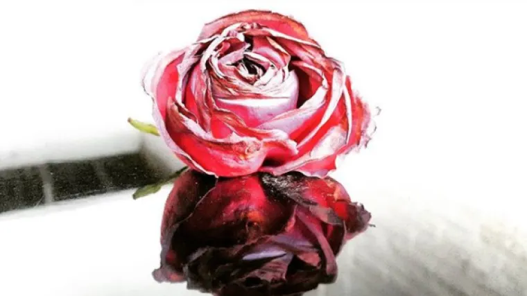 Boja menstrualne krvi varira ovisno o danima ciklusa: Evo &scaron;to znači pojedina nijansa i ima&scaron; li razloga za brigu