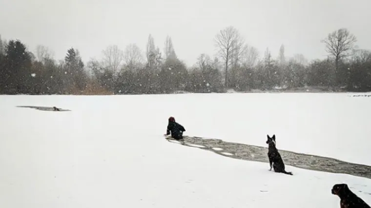 'On ne može van, pa ja moram unutra': žena hrabrost u&scaron;la u ledenu vodu kako bi spasila nepoznatog psa
