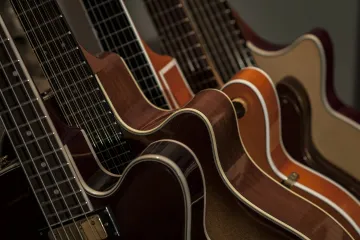 Vrste gitare - naučite kako ih raspoznati